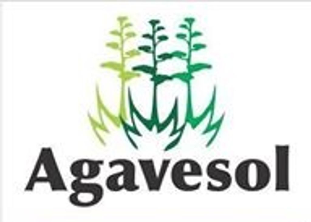 Agavesol Cover Image